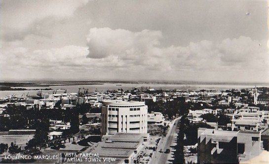 1+girasol+1953+610_001+ps