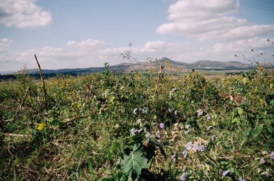 Malkerns - Swaziland