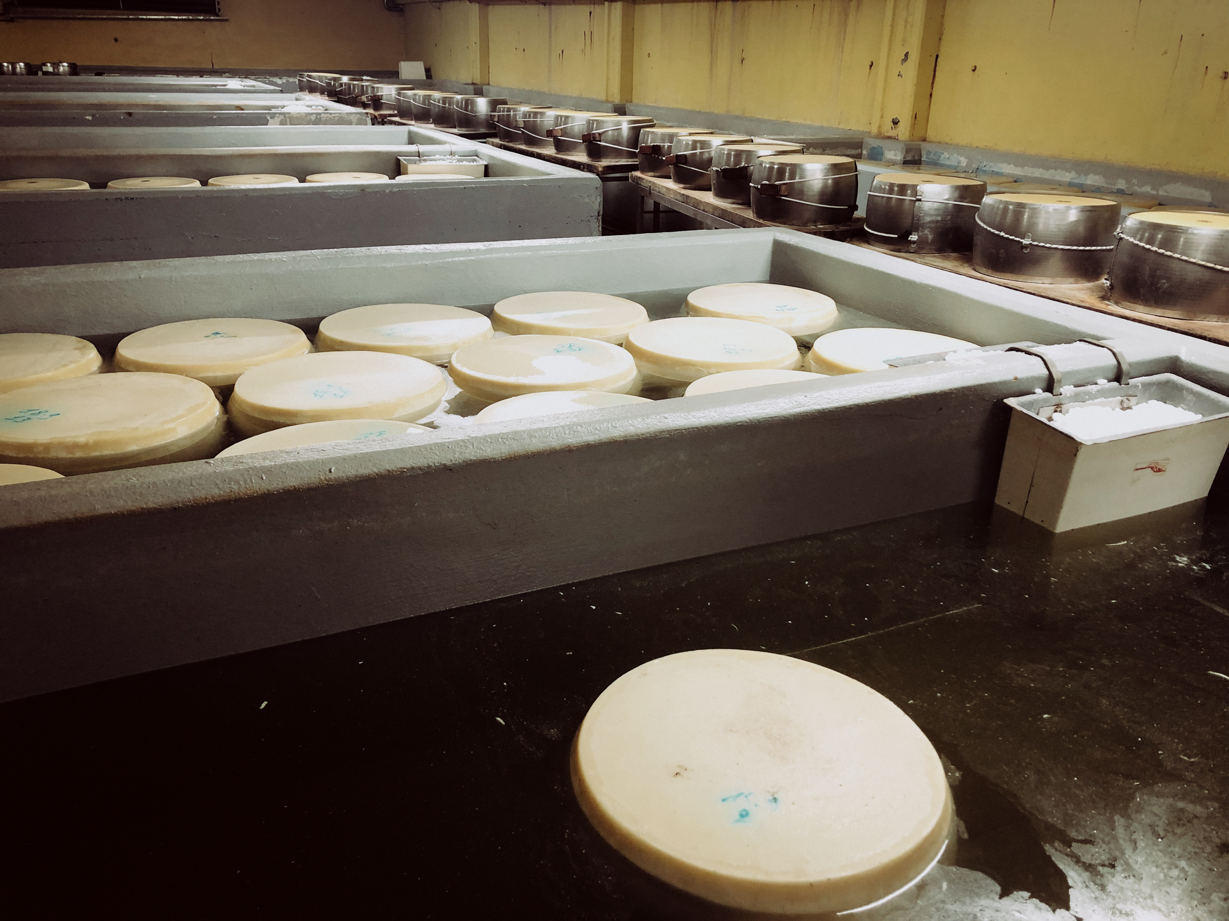 ParmaParmegiano-Reggiano-Factory-8